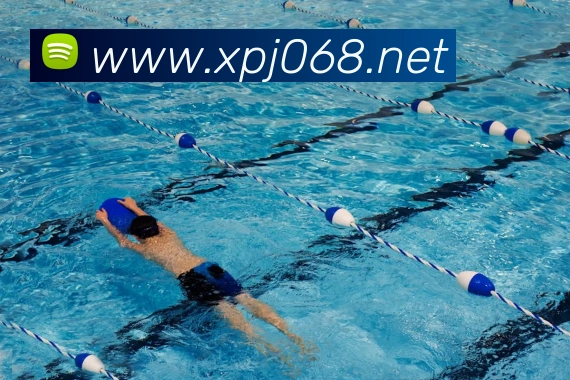 新葡京娱乐城官网服务体系